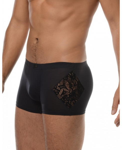 Boxer Hom Saphir 