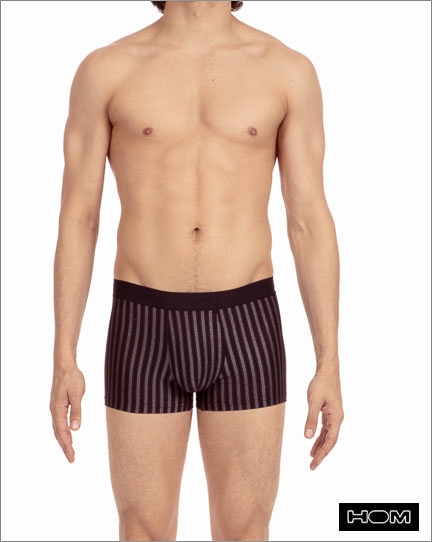 Hom Boxer Luis